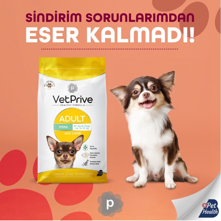 VetPrive Mini ve Küçük Irk Yetişkin Köpek Maması Kuzu Etli 3 kg