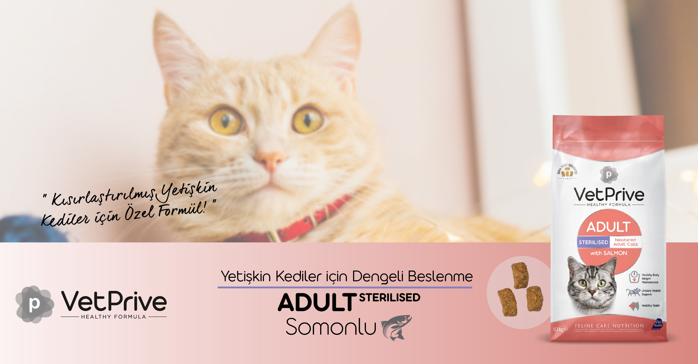 Vet Prive Somonlu Kısırlaştırılmış Kedi Maması 10kg