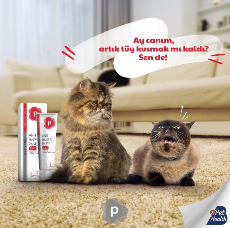 Vet Prive Kediler İçin Tüy Yumağı Önleyici Pasta 100gr. Anti Hairball Paste