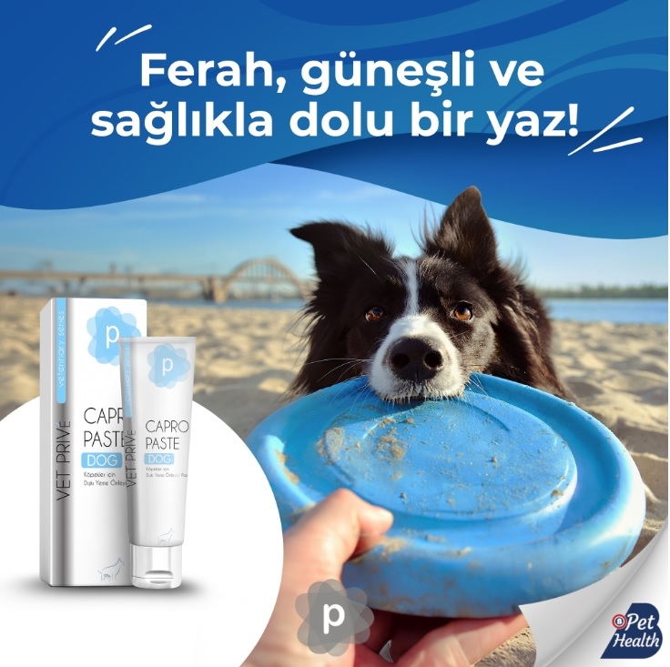 Vet Prive Köpekler için Dışkı Yeme Önleyici Capro Pasta 100gr