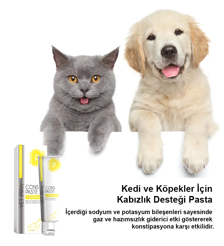 Vet Prive Cons Kabızlık Desteği Malt Pasta 100gr (Kedi ve Köpekler için)