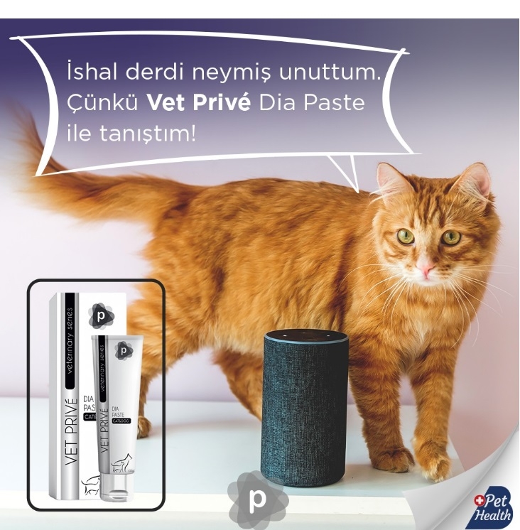 Vet Prive Kedi Ve Köpekler Için Sindirim Sistemi Desteği Pasta 100 gr. Dia Paste 