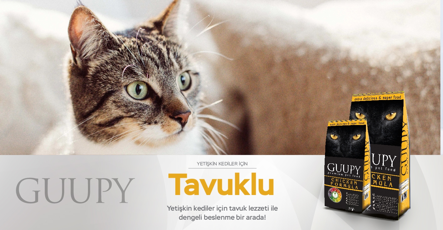 GUUPY Adult Cat Chicken 15 Kg 