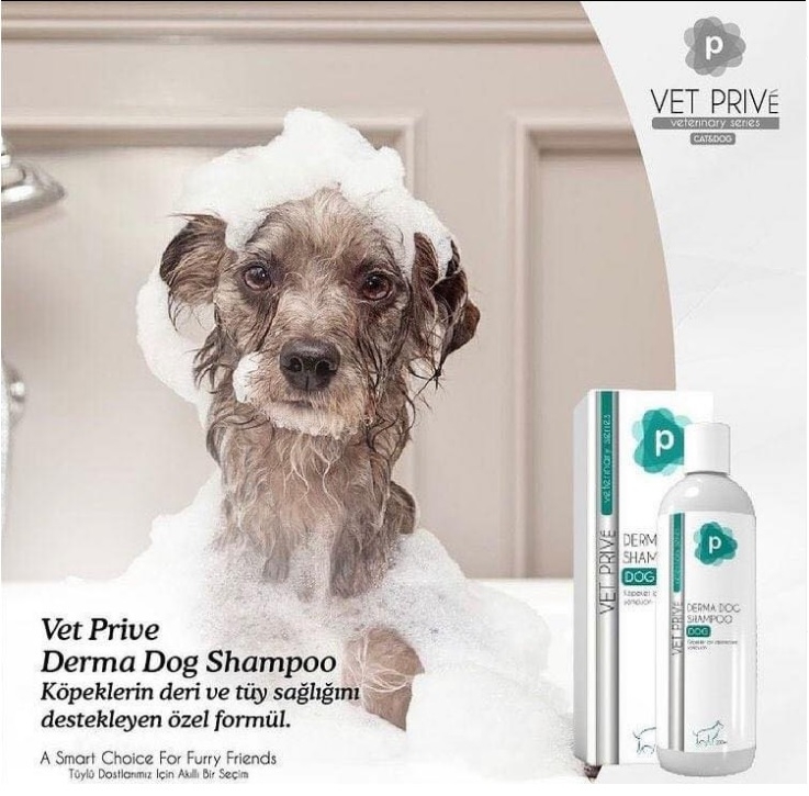 Vet Prive Derma Dog Shampoo/ Köpek Sıvı Şampuan 200 Ml