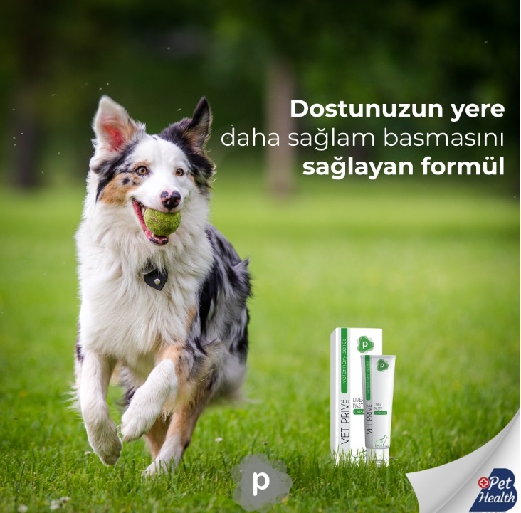Kedi Ve Köpekler Için Karaciğer Desteği 100gr. Liver Paste