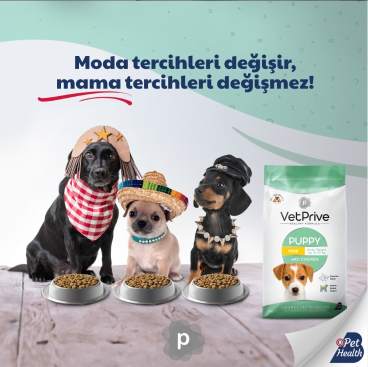 Vet Prive Puppy Mini Ve Küçük Irk Tavuklu yavru köpek maması 3 kg