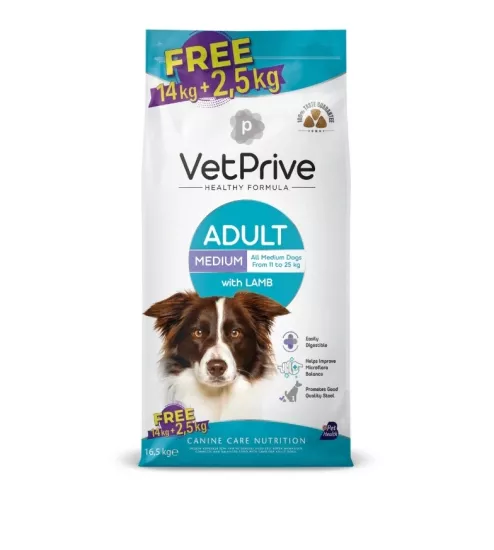 Orta ve İri Irk Yetişkin Köpek Maması Kuzu Etli Bonus Paket 16,5 Kg